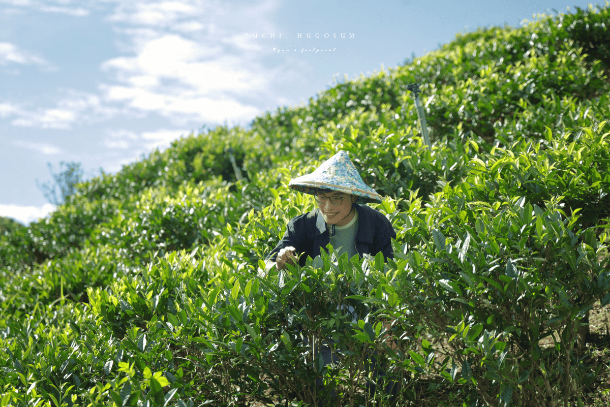 南投魚池 和菓森林.png 南投魚池 和菓森林.png