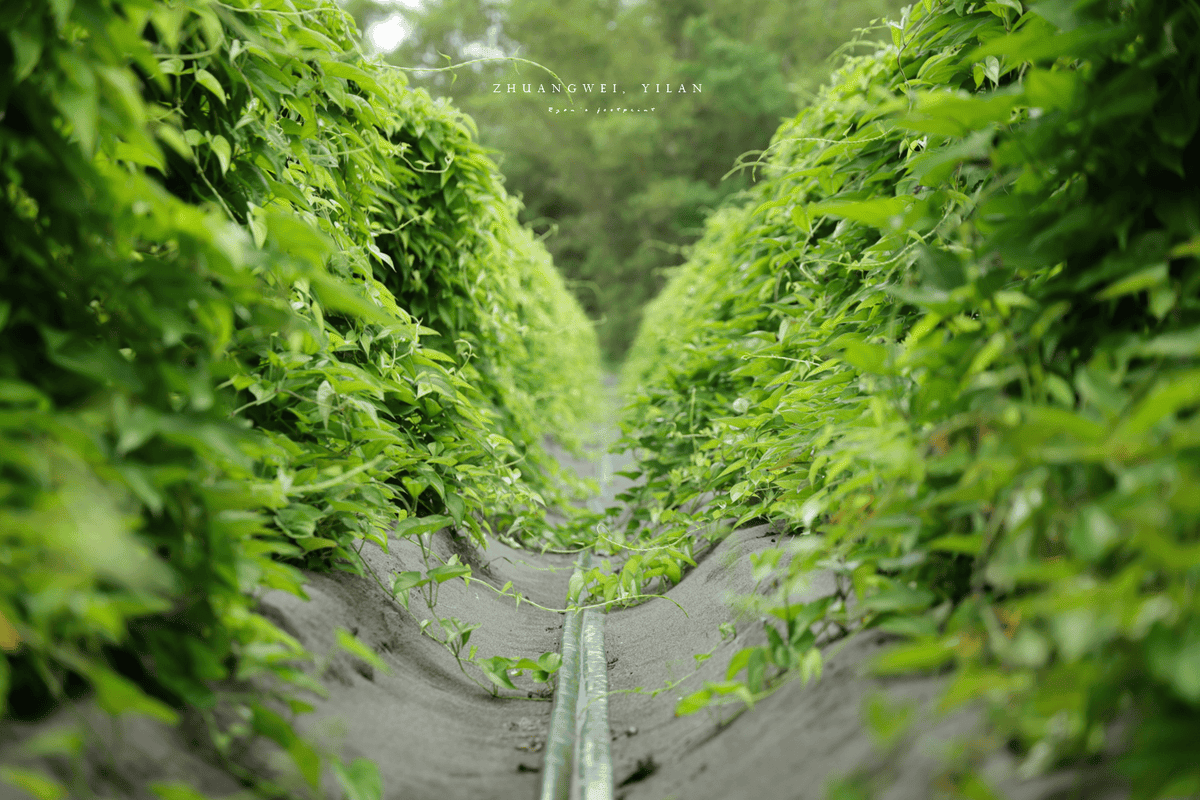 壯圍景點.png