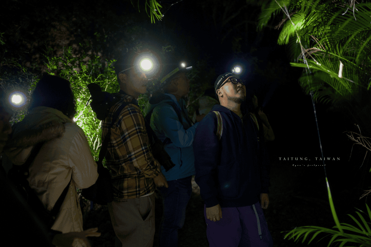 大武 夜訪豬豬山.png