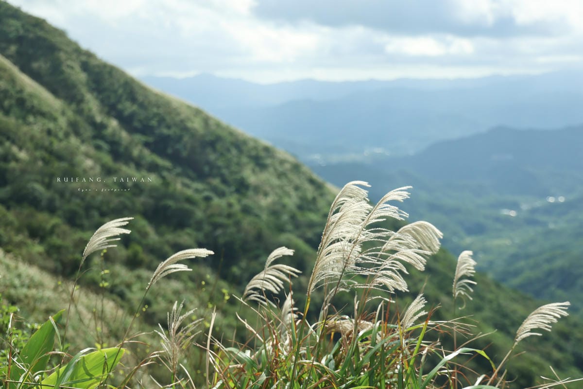 【瑞芳】浪淘盡後的山城：瑞芳 – 金芒舞秋風 九份一日遊｜深訪記憶之外的九份印象 手作芒花關守石、手做芋圓體驗. 不厭亭芒花海. 福山宮