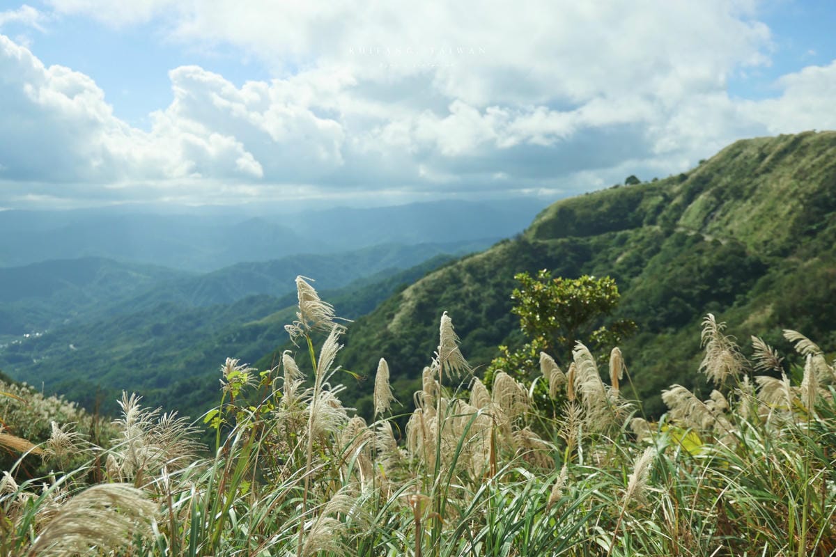 【瑞芳】浪淘盡後的山城：瑞芳 – 金芒舞秋風 九份一日遊｜深訪記憶之外的九份印象 手作芒花關守石、手做芋圓體驗. 不厭亭芒花海. 福山宮