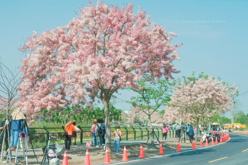 【南投】沿著水圳與鐵道,尋回台灣最樸實的浪漫 – 搭台灣好行「跑水求財線」來趟深度的小鎮漫遊 精選 12 景點. 車站旅遊指南 - 第26張圖 【南投】沿著水圳與鐵道,尋回台灣最樸實的浪漫 – 搭台灣好行「跑水求財線」來趟深度的小鎮漫遊 精選 12 景點. 車站旅遊指南