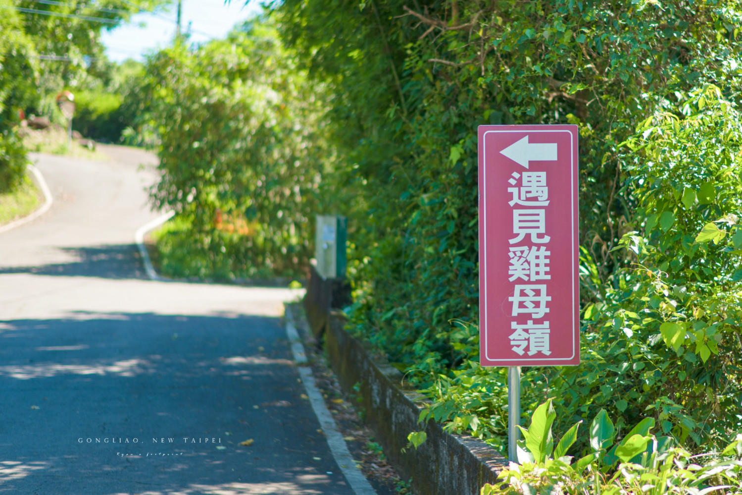【新北｜貢寮】水梯田上的 T 恤森林：2026 貢寮水 T 藝術節完整攻略｜雞母嶺. 全興造船廠雙展區. 裝置藝術. 活動介紹