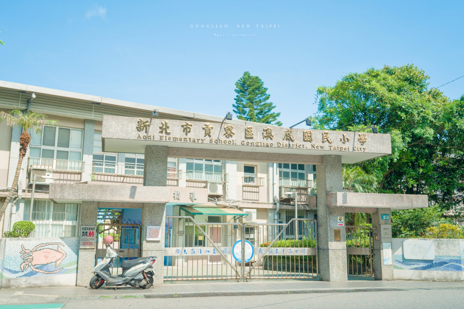 【新北｜貢寮】水梯田上的 T 恤森林：2026 貢寮水 T 藝術節完整攻略｜雞母嶺. 全興造船廠雙展區. 裝置藝術. 活動介紹